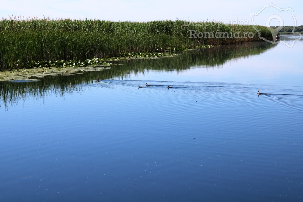 Cazare la Delta Nature Resort din Somova - Delta Dunarii - Tulcea - DescoperimRomania.ro