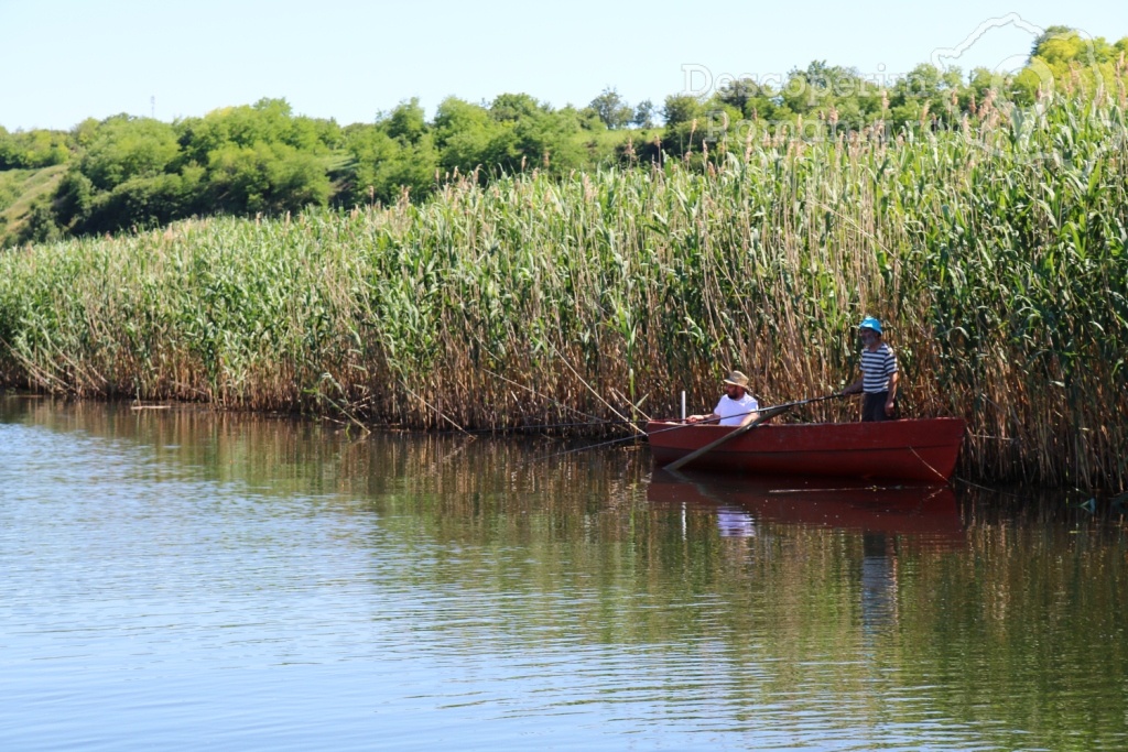 Cazare la Delta Nature Resort din Somova - Delta Dunarii - Tulcea - DescoperimRomania.ro