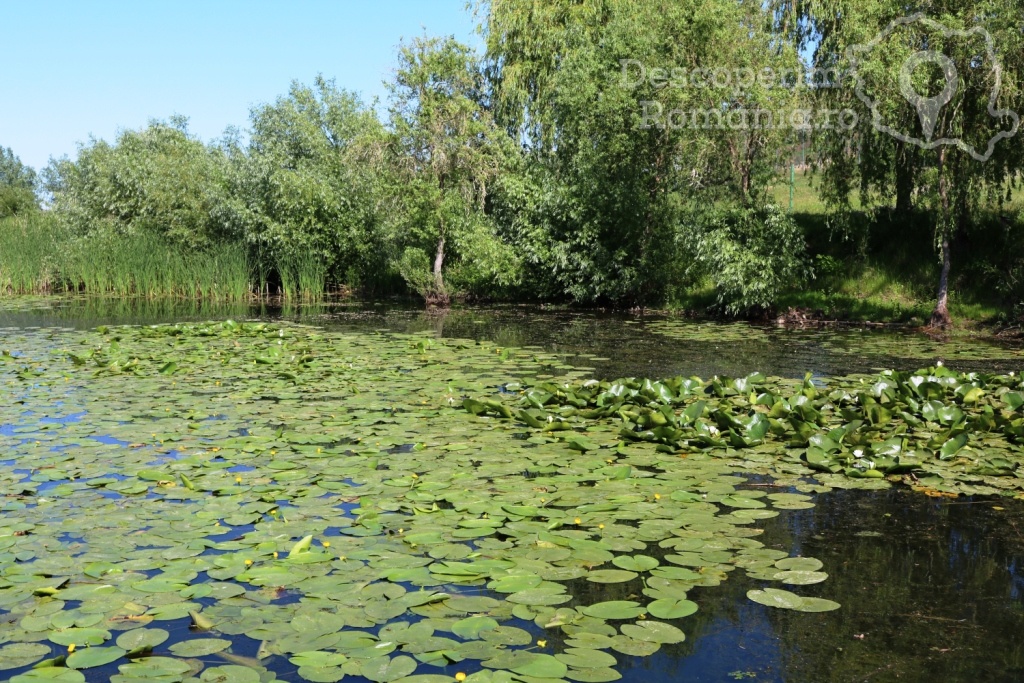 Cazare la Delta Nature Resort din Somova - Delta Dunarii - Tulcea - DescoperimRomania.ro