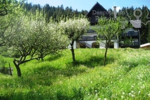 Cazare-la-Pensiunea-Bucovina-Lodge-din-Vama-Bucovina-Suceava-DescoperimRomania-33-300x200 Cazare la Pensiunea Bucovina Lodge din Vama - Bucovina - Suceava - DescoperimRomania (33)