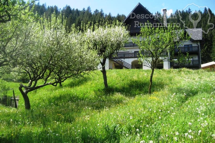 Pensiunea Bucovina Lodge din Vama