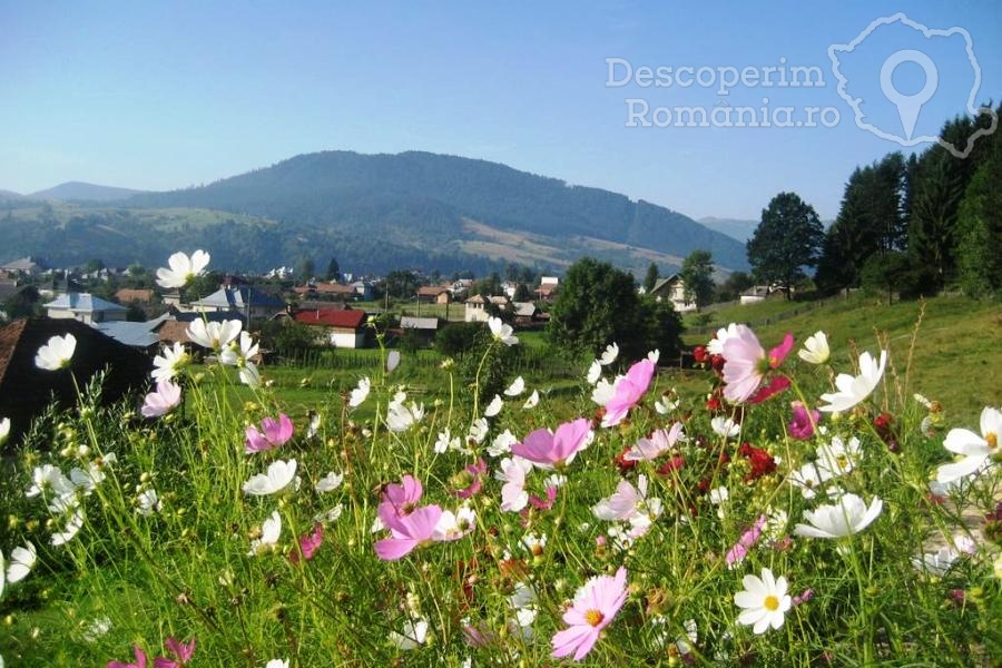 Pensiunea Bucovina Lodge din Vama