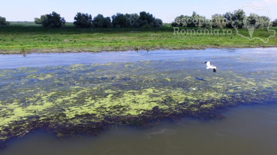 Cazare-la-Pensiunea-Francesca-Mila-23-Tulcea-Delta-Dunarii-DescoperimRomania-100-900x506 Cazare la Pensiunea Francesca - Mila 23 - Tulcea - Delta Dunarii - DescoperimRomania (100)