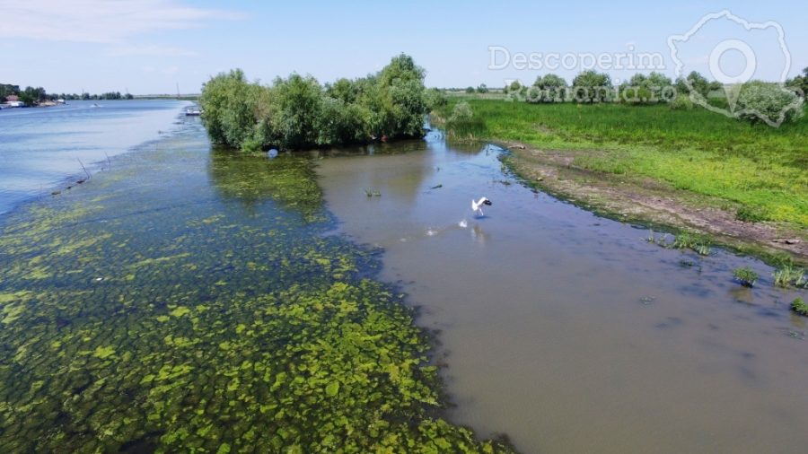 Cazare-la-Pensiunea-Francesca-Mila-23-Tulcea-Delta-Dunarii-DescoperimRomania-98-900x506 Cazare la Pensiunea Francesca - Mila 23 - Tulcea - Delta Dunarii - DescoperimRomania (98)