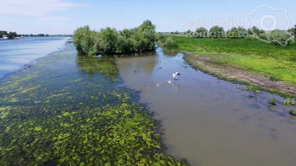 Cazare la Pensiunea Francesca - Mila 23 - Tulcea - Delta Dunarii - DescoperimRomania.ro