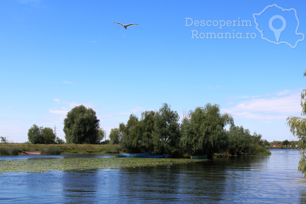 Cazare la Pensiunea Nufarul Galben - Mila 23 - Tulcea - Delta Dunarii - DescoperimRomania.ro