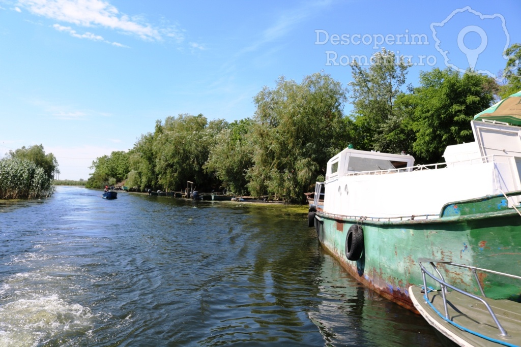 Cazare la Pensiunea Nufarul Galben - Mila 23 - Tulcea - Delta Dunarii - DescoperimRomania.ro