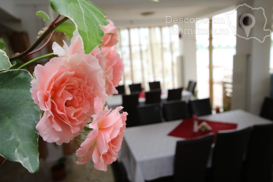Cazare-la-Pensiunea-Paradis-Delta-House-Mila-23-Tulcea-Delta-Dunarii-DescoperimRomania-74-900x600 Cazare la Pensiunea Paradis Delta House - Mila 23 - Tulcea - Delta Dunarii - DescoperimRomania (74)
