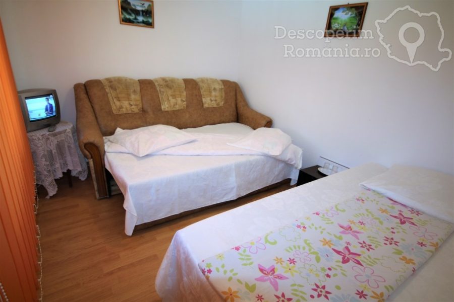 Cazare-la-Casa-de-vacanta-Timisoreanu-din-Dubova-Mehedinti-Clisura-Dunarii-DescoperimRomania-116-900x600 Cazare la Casa de vacanta Timisoreanu din Dubova - Mehedinti - Clisura Dunarii - DescoperimRomania (116)