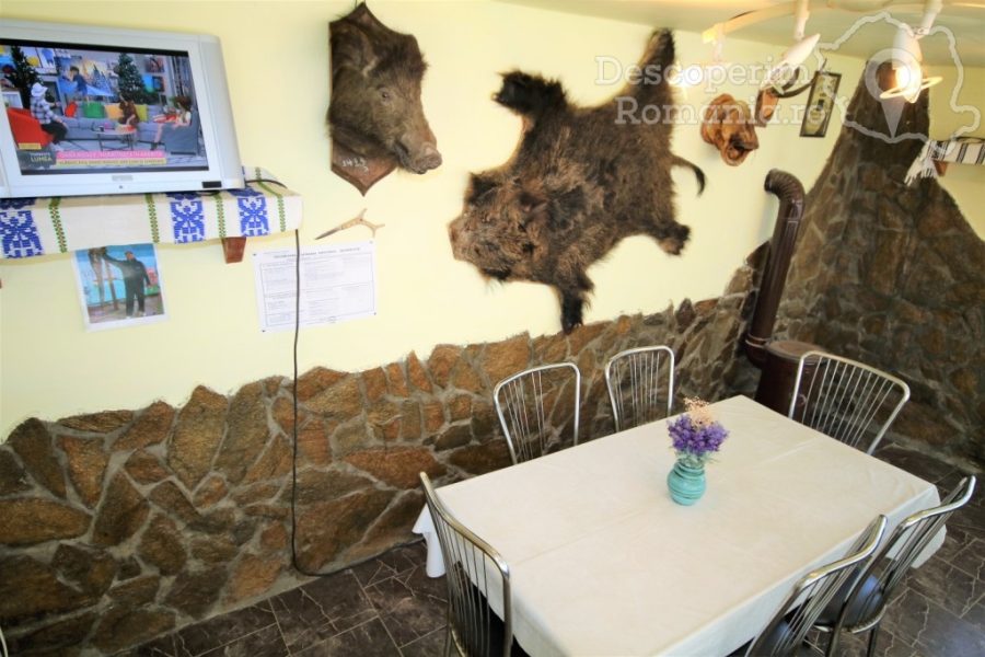 Cazare-la-Casa-de-vacanta-Timisoreanu-din-Dubova-Mehedinti-Clisura-Dunarii-DescoperimRomania-138-900x600 Cazare la Casa de vacanta Timisoreanu din Dubova - Mehedinti - Clisura Dunarii - DescoperimRomania (138)
