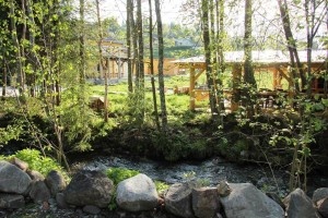 Cazare-la-Casa-Lus-din-Panaci-Vatra-Dornei-Bucovina-DescoperimRomania-33-300x200 Cazare la Casa Lus din Panaci - Vatra Dornei - Bucovina - DescoperimRomania (33)