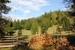 Cazare-la-Casa-Lus-din-Panaci-Vatra-Dornei-Bucovina-DescoperimRomania-36-300x200 Cazare la Casa Lus din Panaci - Vatra Dornei - Bucovina - DescoperimRomania (36)