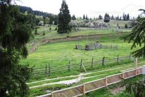 Cazare-la-Casa-Lus-din-Panaci-Vatra-Dornei-Bucovina-DescoperimRomania-38-300x200 Cazare la Casa Lus din Panaci - Vatra Dornei - Bucovina - DescoperimRomania (38)
