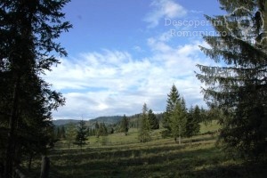Cazare-la-Casa-Lus-din-Panaci-Vatra-Dornei-Bucovina-DescoperimRomania-39-300x200 Cazare la Casa Lus din Panaci - Vatra Dornei - Bucovina - DescoperimRomania (39)
