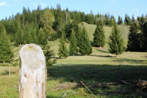 Cazare-la-Casa-Lus-din-Panaci-Vatra-Dornei-Bucovina-DescoperimRomania-40-300x200 Cazare la Casa Lus din Panaci - Vatra Dornei - Bucovina - DescoperimRomania (40)