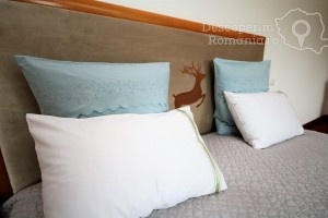 Cazare-la-Conacul-Domnitei-din-Polovragi-Oltenia-DescoperimRomania-28-300x200 Cazare la Conacul Domnitei din Polovragi - Oltenia - DescoperimRomania (28)