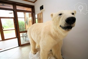 Cazare-la-Conacul-Domnitei-din-Polovragi-Oltenia-DescoperimRomania-73-300x200 Cazare la Conacul Domnitei din Polovragi - Oltenia - DescoperimRomania (73)