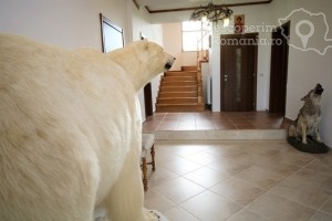 Cazare-la-Conacul-Domnitei-din-Polovragi-Oltenia-DescoperimRomania-74-300x200 Cazare la Conacul Domnitei din Polovragi - Oltenia - DescoperimRomania (74)