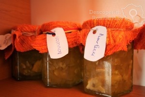 Cazare-la-Conacul-Domnitei-din-Polovragi-Oltenia-DescoperimRomania-76-300x200 Cazare la Conacul Domnitei din Polovragi - Oltenia - DescoperimRomania (76)