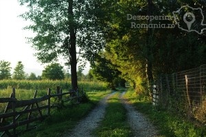 Cazare-la-Conacul-Domnitei-din-Polovragi-Oltenia-DescoperimRomania-88-300x200 Cazare la Conacul Domnitei din Polovragi - Oltenia - DescoperimRomania (88)
