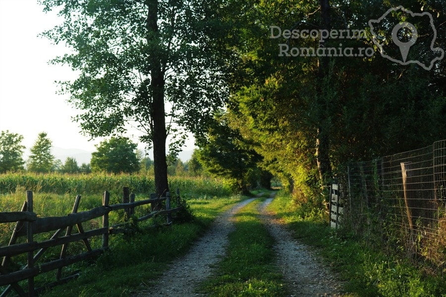 Cazare la Conacul Domnitei din Polovragi