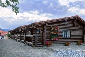 Cazare-la-Conacul-Maria-Therela-din-Orlat-Marginimea-Sibiului-DescoperimRomania-33-300x200 Cazare la Conacul Maria Therela din Orlat - Marginimea Sibiului - DescoperimRomania (33)