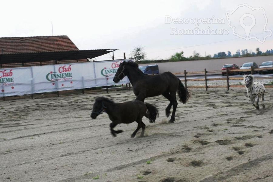 Cazare la Insieme Grand Resort din Pitaru