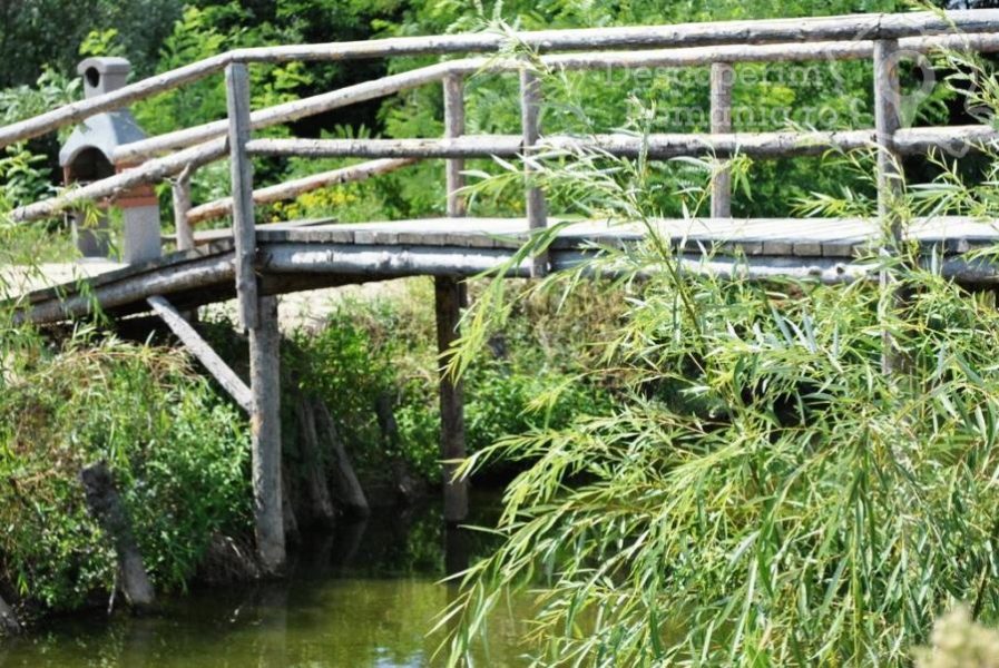 Cazare-la-Insieme-Grand-Resort-din-Pitaru-Bucuresti-si-imprejurimi-DescoperimRomania-36-897x600 Cazare la Insieme Grand Resort din Pitaru - Bucuresti si imprejurimi - DescoperimRomania (36)