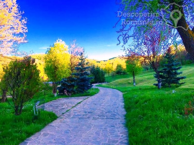 Cazare-la-Lac-de-Verde-din-Breaza-Valea-Prahovei-DescoperimRomania-33-800x600 Cazare la Lac de Verde din Breaza - Valea Prahovei - DescoperimRomania (33)