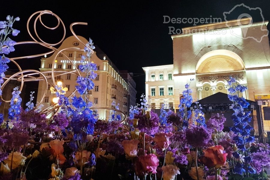 Festivalul-Timfloralis-Timisoara-flori-culori-emotie-DescoperimRomania-10-900x600 Festivalul Timfloralis - Timisoara, flori, culori, emotie - DescoperimRomania (10)