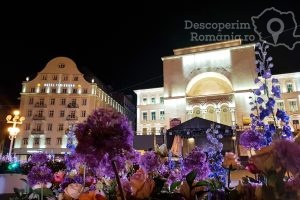 Festivalul-Timfloralis-Timisoara-flori-culori-emotie-DescoperimRomania-11-300x200 Festivalul Timfloralis - Timisoara, flori, culori, emotie - DescoperimRomania (11)