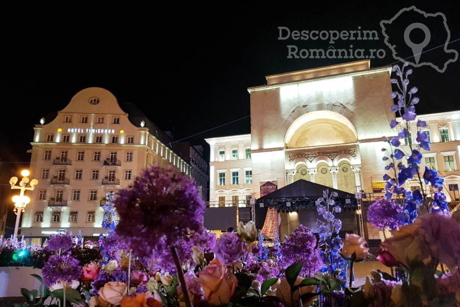 Festivalul-Timfloralis-Timisoara-flori-culori-emotie-DescoperimRomania-11 Festivalul Timfloralis - Timișoara, culori, flori, emoții