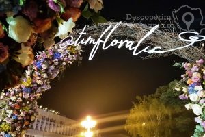 Festivalul-Timfloralis-Timisoara-flori-culori-emotie-DescoperimRomania-3-300x200 Festivalul Timfloralis - Timisoara, flori, culori, emotie - DescoperimRomania (3)