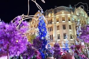 Festivalul-Timfloralis-Timisoara-flori-culori-emotie-DescoperimRomania-4-300x200 Festivalul Timfloralis - Timisoara, flori, culori, emotie - DescoperimRomania (4)