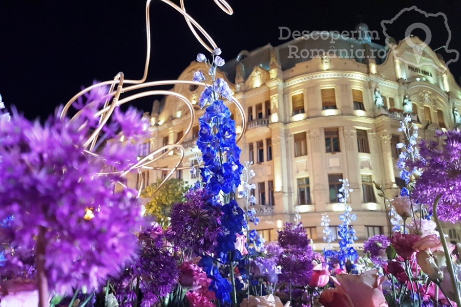 Festivalul-Timfloralis-Timisoara-flori-culori-emotie-DescoperimRomania-4 Festivalul Timfloralis - Timișoara, culori, flori, emoții