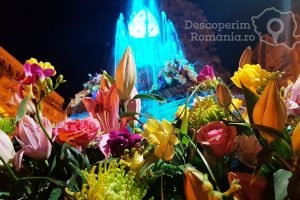 Festivalul-Timfloralis-Timisoara-flori-culori-emotie-DescoperimRomania-5-300x200 Festivalul Timfloralis - Timisoara, flori, culori, emotie - DescoperimRomania (5)