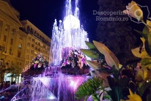 Festivalul-Timfloralis-Timisoara-flori-culori-emotie-DescoperimRomania-6-300x200 Festivalul Timfloralis - Timisoara, flori, culori, emotie - DescoperimRomania (6)