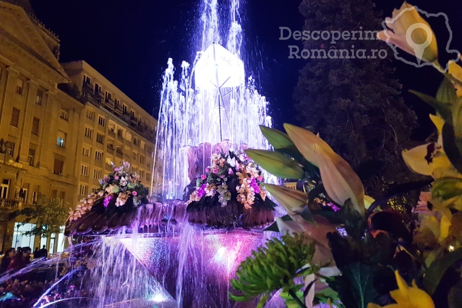 Festivalul Timfloralis – Timisoara, flori, culori, emotie – DescoperimRomania (6)