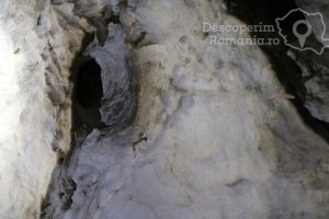 Cheile-oltetului-si-Pestra-Polovragi-miracol-in-inima-muntilor-DescoperimRomania-17-300x200 Cheile oltetului si Pestra Polovragi - miracol in inima muntilor- DescoperimRomania (17)