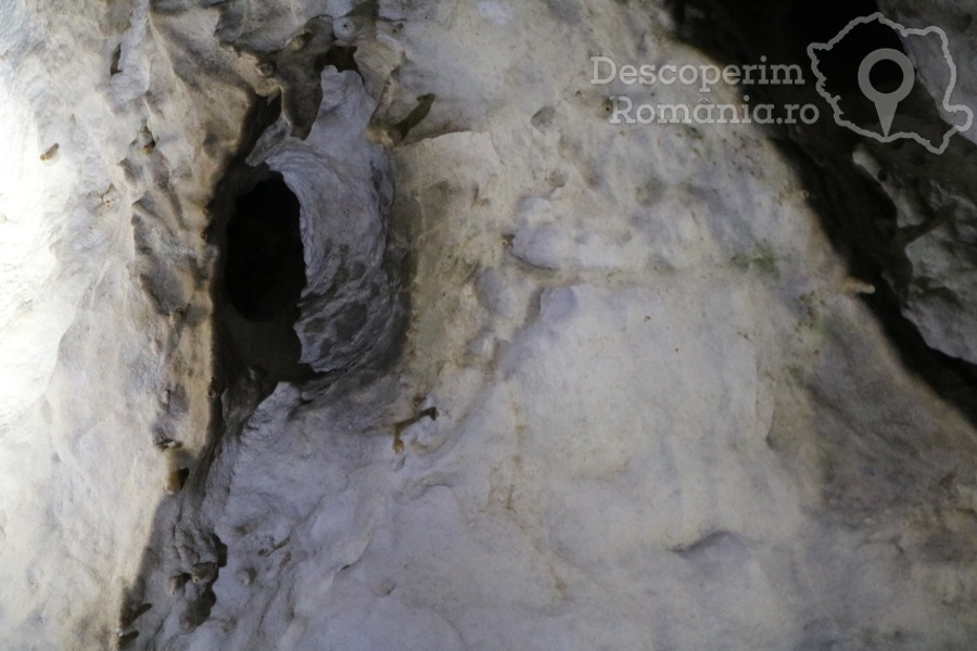 Cheile-oltetului-si-Pestra-Polovragi-miracol-in-inima-muntilor-DescoperimRomania-17 Cheile Oltețului și Peștera Polovragi - Miracol în inima munților