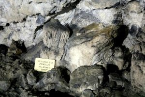Cheile-oltetului-si-Pestra-Polovragi-miracol-in-inima-muntilor-DescoperimRomania-2-300x200 Cheile oltetului si Pestra Polovragi - miracol in inima muntilor- DescoperimRomania (2)