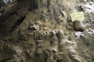 Cheile-oltetului-si-Pestra-Polovragi-miracol-in-inima-muntilor-DescoperimRomania-26-300x200 Cheile oltetului si Pestra Polovragi - miracol in inima muntilor- DescoperimRomania (26)
