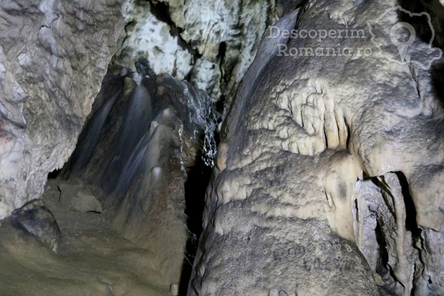 Cheile-oltetului-si-Pestra-Polovragi-miracol-in-inima-muntilor-DescoperimRomania-35 Cheile Oltețului și Peștera Polovragi - Miracol în inima munților
