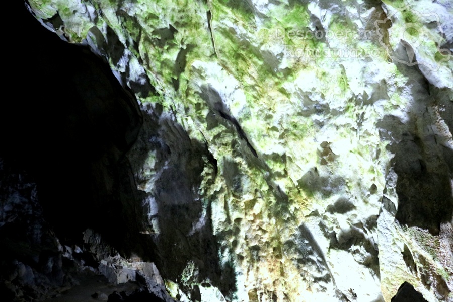 Cheile-oltetului-si-Pestra-Polovragi-miracol-in-inima-muntilor-DescoperimRomania-43 Cheile Oltețului și Peștera Polovragi - Miracol în inima munților