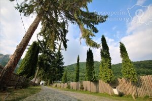 Manastirea-Polovragi-Armonie-in-alb-DescoperimRomania-3-300x200 Manastirea Polovragi - Armonie in alb - DescoperimRomania (3)