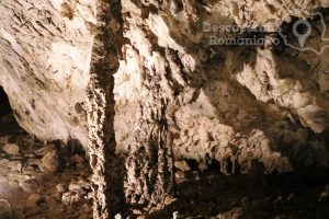 Pestera-Muierii-Cea-mai-vizitata-pestera-Cazare-Oltenia-Atractii-Oltenia-DescoperimRomania.ro-14-300x200 Pestera Muierii - Cea mai vizitata pestera - Cazare Oltenia - Atractii Oltenia - DescoperimRomania.ro (14)