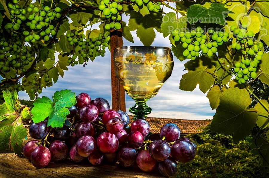 Vintest-Iubesc-Vinul-Romanesc-DescoperimRomania-1-900x596 Vintest - Iubesc Vinul Romanesc - DescoperimRomania (1)