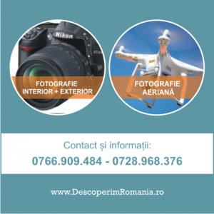 Banner-articole-crame-1-300x300 Crama Budureasca –  În inima podgoriei Dealu Mare