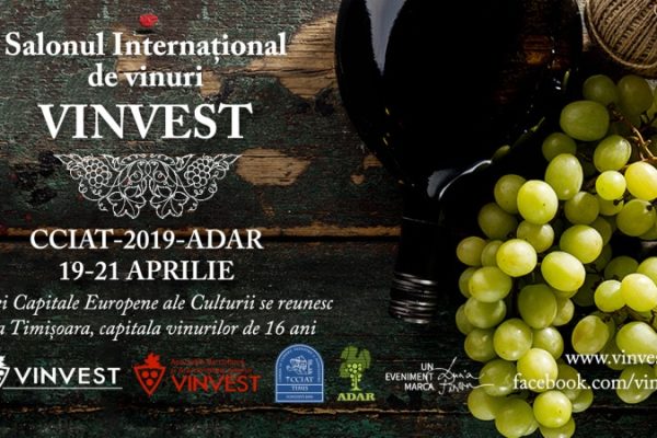 VINVEST2019