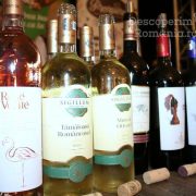 Degustare specială, într-un regal al vinurilor prezente la VINVEST 2019 (13)